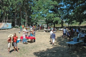 farmers' market at mvcc